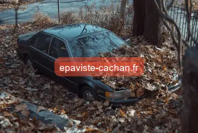 épaviste gratuit